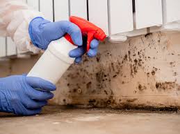 Best Industrial Mold Remediation in Saks, AL